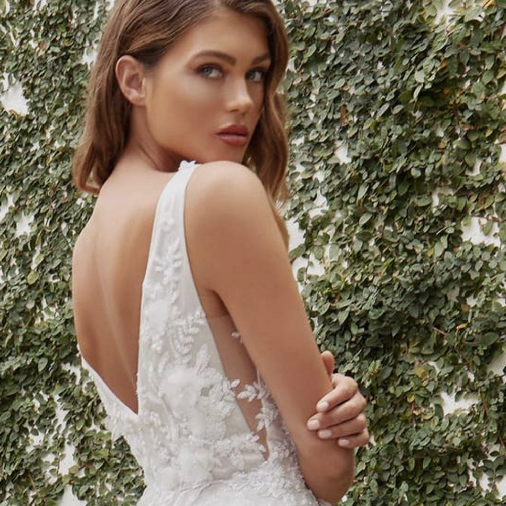 Gardenia Lace Wedding Ball Gown with Peek-a-Boo Bodice